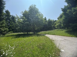 Quadrilocale in Vendita a Lusiana Conco, 109'000€, 100 m², con Box