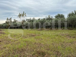 Terreno agricolo in Vendita a Capua, 30'000€, 3070 m²