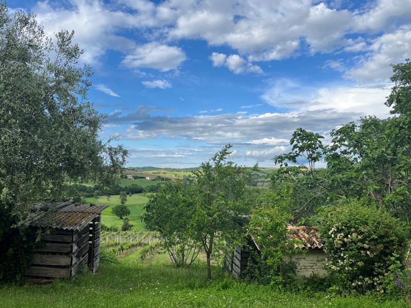 Casa Indipendente in Vendita a Montecarotto, 275'000€, 200 m², arredato