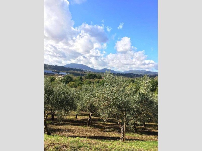 Terreno agricolo in Vendita a Montefredane, 39'000&euro;, 6585 m²