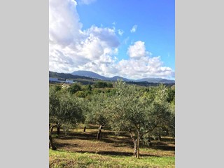 Terreno agricolo in Vendita a Montefredane, 39'000&euro;, 6585 m²