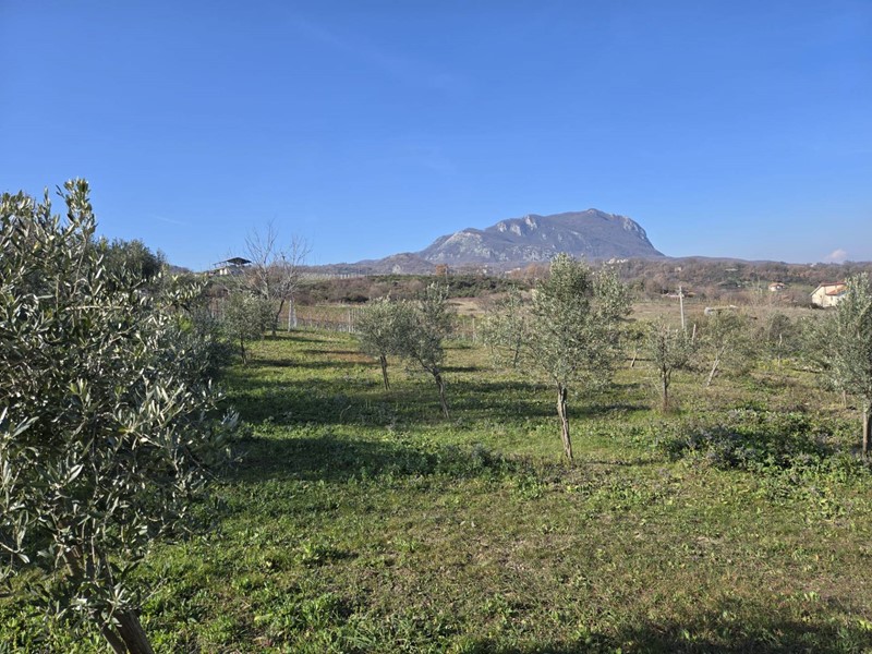 Terreno agricolo in Vendita a Montemarano, 39'000&euro;, 8500 m²