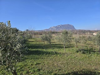 Terreno agricolo in Vendita a Montemarano, 39'000&euro;, 8500 m²
