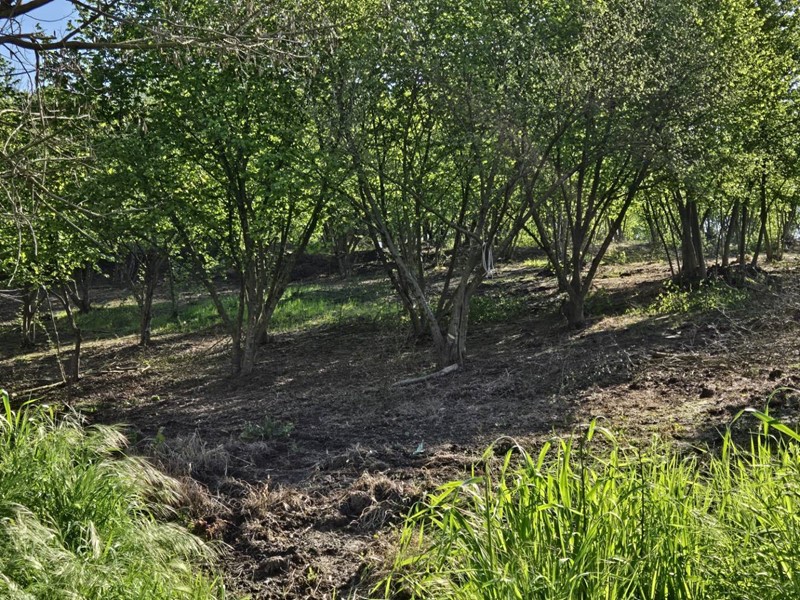 Terreno agricolo in Vendita a Pratola Serra, 9'500€, 2000 m²