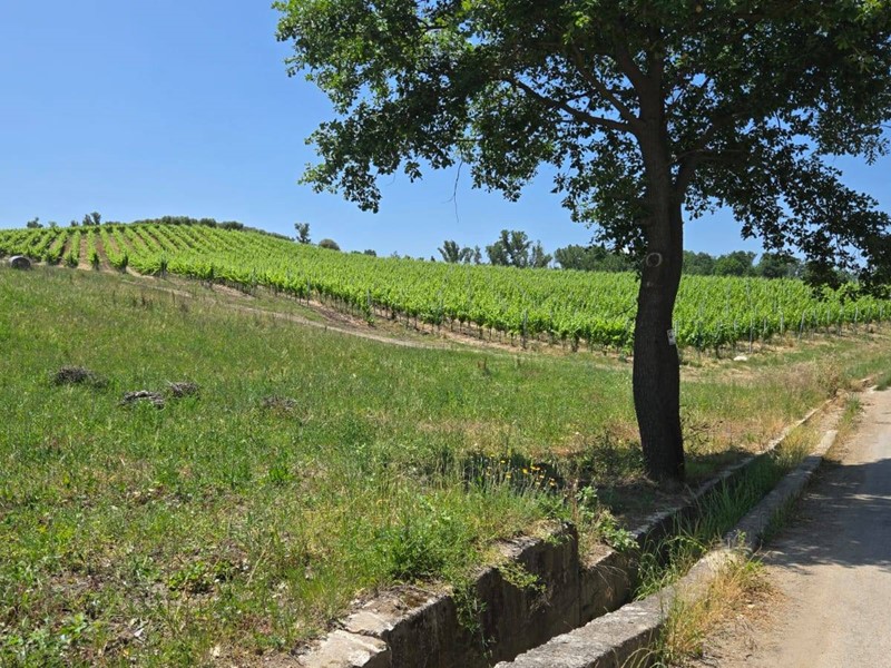 Terreno agricolo in Vendita a Paternopoli, 19'500€, 10250 m²