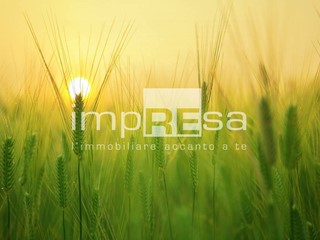 Terreno agricolo in Vendita a Paese, 145'000€, 18281 m²