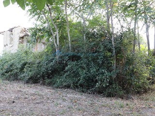 Rustico in Vendita a Controguerra, 75'000€, 150 m²