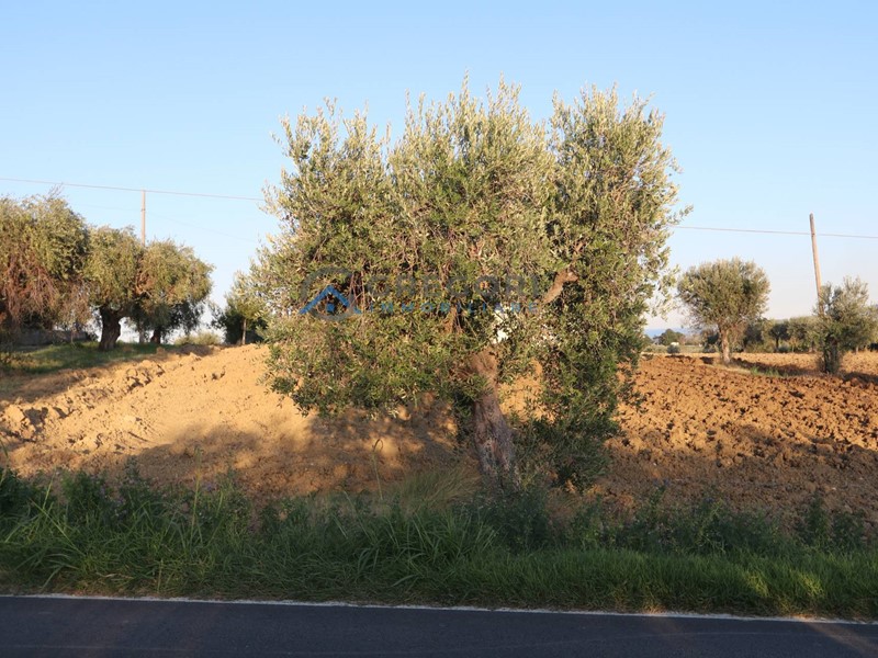 Terreno edificabile in Vendita a Controguerra, 39'000€, 2020 m²