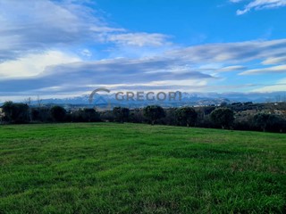 Terreno edificabile in Vendita a Giulianova, 550'000€, 20000 m²