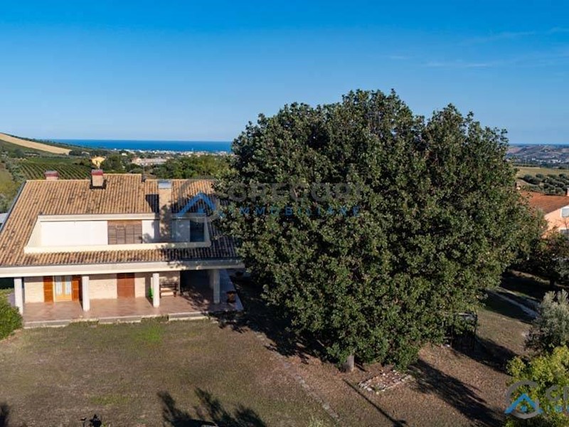 Villa in Vendita a Giulianova, 515 m²