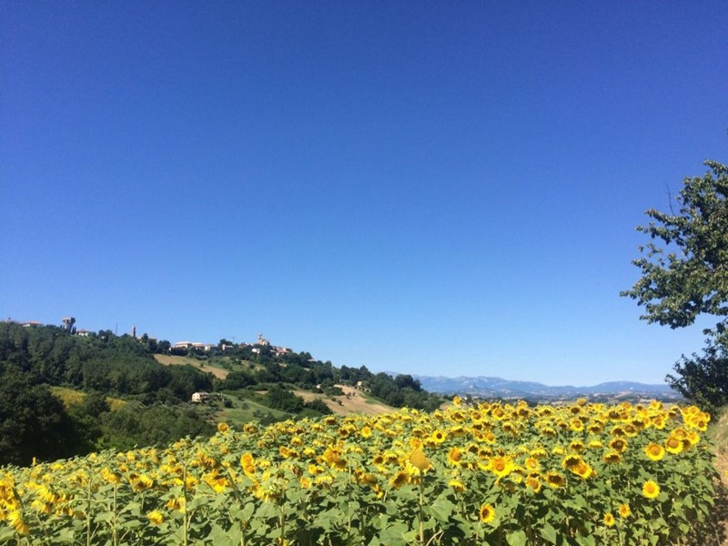 Rustico in Vendita a Montelparo, 180 m²