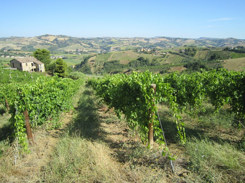 Rustico in Vendita a Offida, 150'000€, 180 m²