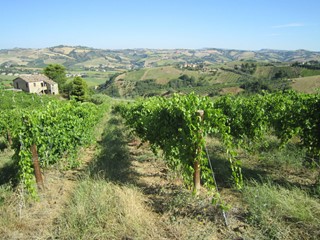 Rustico in Vendita a Offida, 150'000€, 180 m²