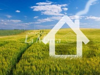 Terreno edificabile in Vendita a Treviso, 105'000€, 1000 m²