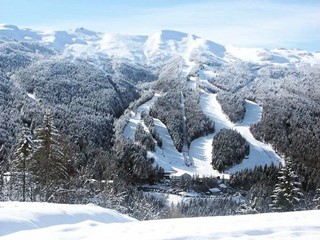 Attività commerciale in Vendita a Abetone Cutigliano, 123 m²