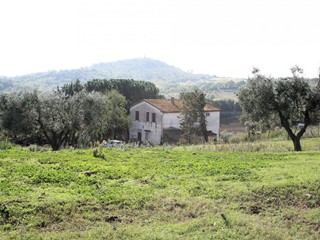 Rustico in Vendita a Magliano in Toscana, 500'000€, 1195 m²