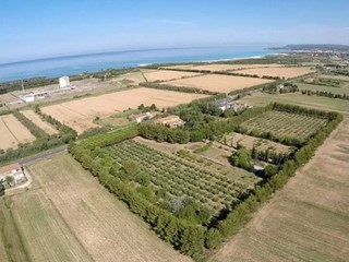 Rustico in Vendita a Rosignano Marittimo, 890'000€, 715 m²
