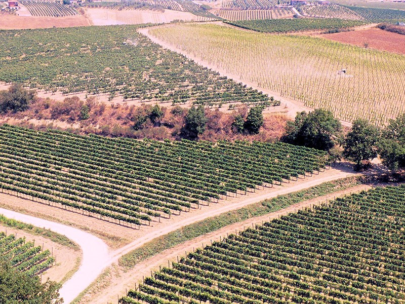 Rustico in Vendita a Montepulciano, 1200 m²