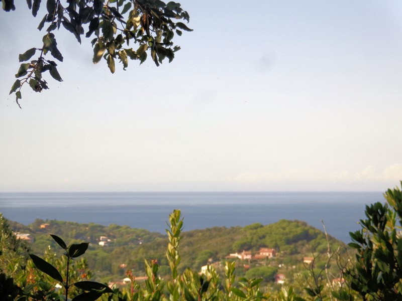 Attività commerciale in Vendita a Campo nell'Elba, 350'000&euro;, 70000 m²