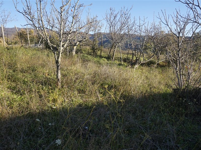 Terreno edificabile in Vendita a Casali del Manco, 20'000€, 530 m²