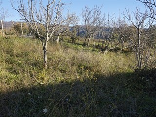 Terreno edificabile in Vendita a Casali del Manco, 20'000€, 530 m²