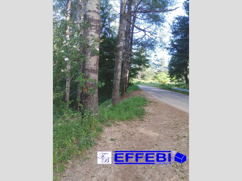 Terreno agricolo in Vendita a Spezzano della Sila, 50'000€, 84560 m²