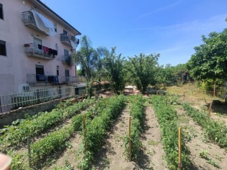 Terreno agricolo in Affitto a Scisciano, 350€, 1500 m²