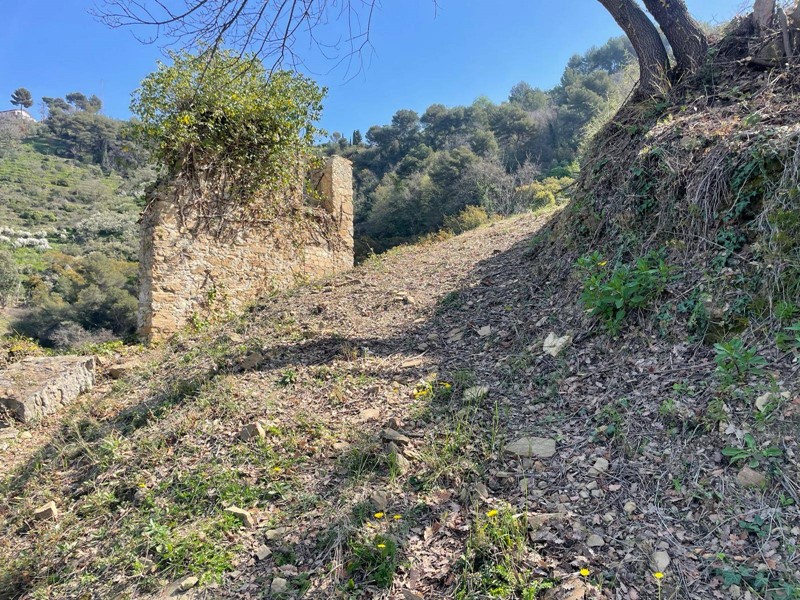 Terreno edificabile in Vendita a San Biagio della Cima, 48'000€, 6400 m²