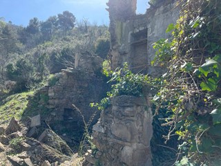 Terreno edificabile in Vendita a San Biagio della Cima, 48'000€, 6400 m²