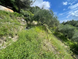Terreno industriale in Vendita a Ventimiglia, 45'000€, 7000 m²