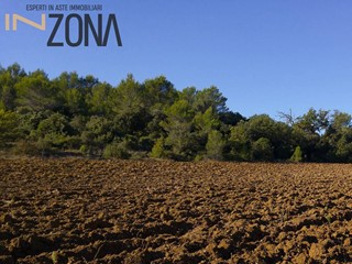 Terreno agricolo in Vendita a Vieste, 23'962€, 13562 m²