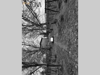 Terreno agricolo in Vendita a Cerignola, 38'812€, 50562 m²