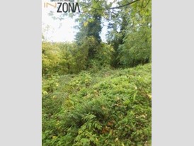 Terreno agricolo in Vendita a Sesto Fiorentino, 5'700€, 550 m²