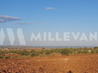 Terreno edificabile in Vendita a Rosolini, 87'000€, 28000 m²