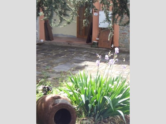 Bilocale in Affitto a Vinci, 40 m²