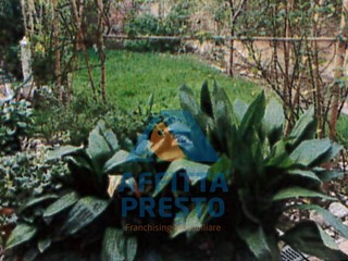 Casa Indipendente in Vendita a Santa Croce sull'Arno, 500'000€, 300 m²