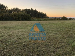 Terreno agricolo in Vendita a Empoli, 10'000€, 7500 m²