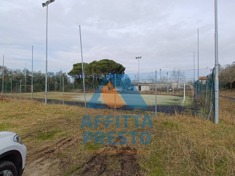 Terreno agricolo in Affitto a Fucecchio, 1000 m²