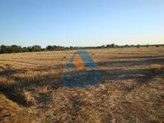 Terreno agricolo in Vendita a Empoli, 5500 m²