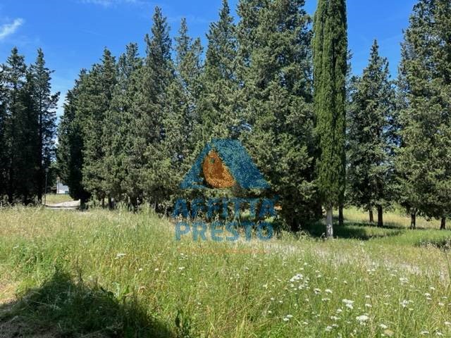 Attività commerciale in Affitto a Montelupo Fiorentino, 200 m²