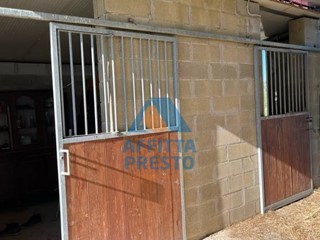 Terreno agricolo in Vendita a Montopoli in Val d'Arno, 150'000€, 20000 m²