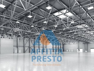 Capannone in Affitto a Casciana Terme Lari, 52440 m²