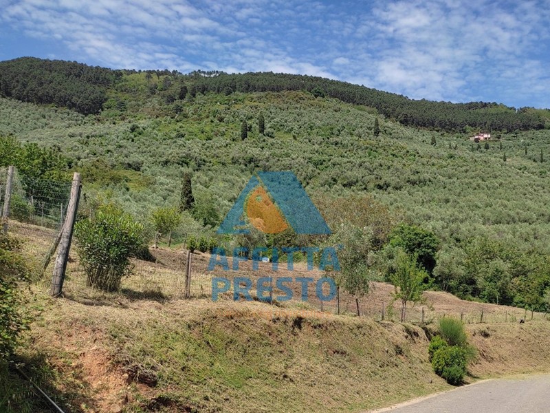 Terreno agricolo in Vendita a Buti, 40'000€, 2000 m²