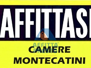 Stanza in Affitto a Montecatini Terme, 650€, 16 m²