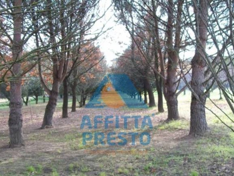 Terreno agricolo in Vendita a Empoli, 50'000€, 5540 m²