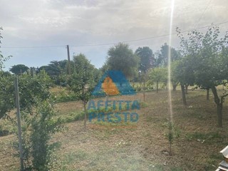 Terreno agricolo in Vendita a Empoli, 50'000€, 15200 m²