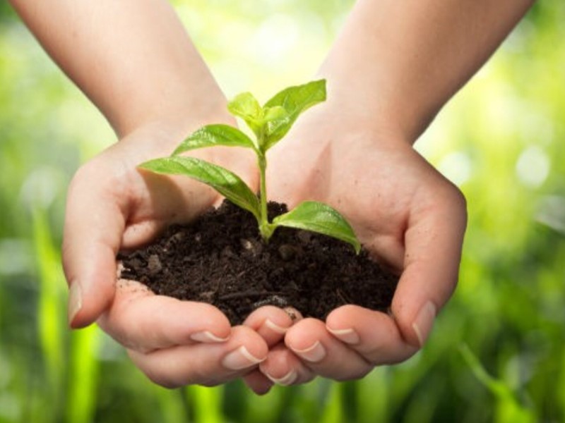 Terreno agricolo in Vendita a Casale sul Sile, 300'000€, 46169 m²