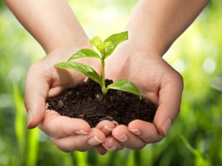 Terreno agricolo in Vendita a Casale sul Sile, 300'000€, 46169 m²