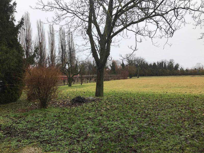 Terreno agricolo in Vendita a Carbonera, 53'000€, 7654 m²