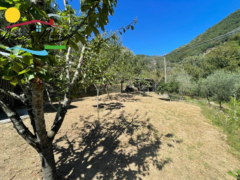 Terreno agricolo in Vendita a Avegno, 29'000€, 1000 m²